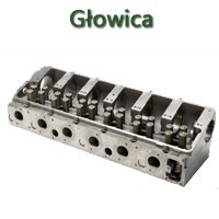 GŁOWICA I JEJ ELEMENTY GŁOWICA I JEJ ELEMENTY