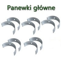 PANEWKI GŁÓWNE PANEWKI GŁÓWNE