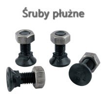 ŚRUBY PŁUŻNE ŚRUBY PŁUŻNE