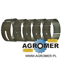 PANEWKI GŁÓWNE MASSEY PANEWKI GŁÓWNE MASSEY