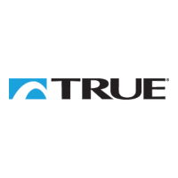 True Fitness True Fitness