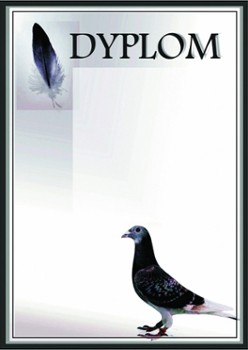 Dyplomy gołebiarstwo Dyplomy gołebiarstwo