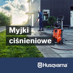Czyszczenie Czyszczenie