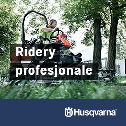 Ridery profesjonalne Ridery profesjonalne
