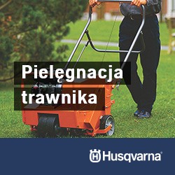 Pielęgnacja trawnika Pielęgnacja trawnika