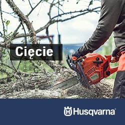 Cięcie Cięcie