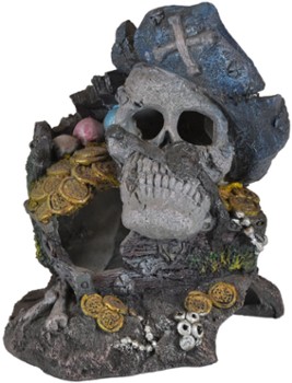 Skulls Skulls