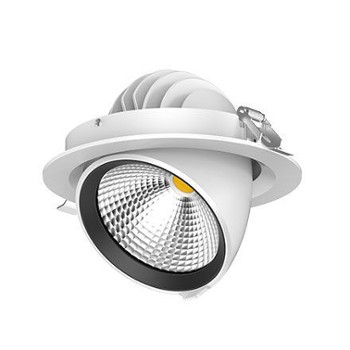 LED Downlight Adjustable (Scoop) LED Downlight Adjustable (Scoop)