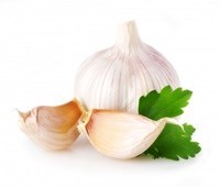 GARLIC GARLIC