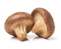 MUSHROOMS MUSHROOMS
