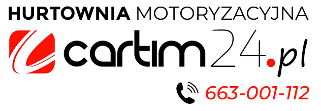 Strona główna