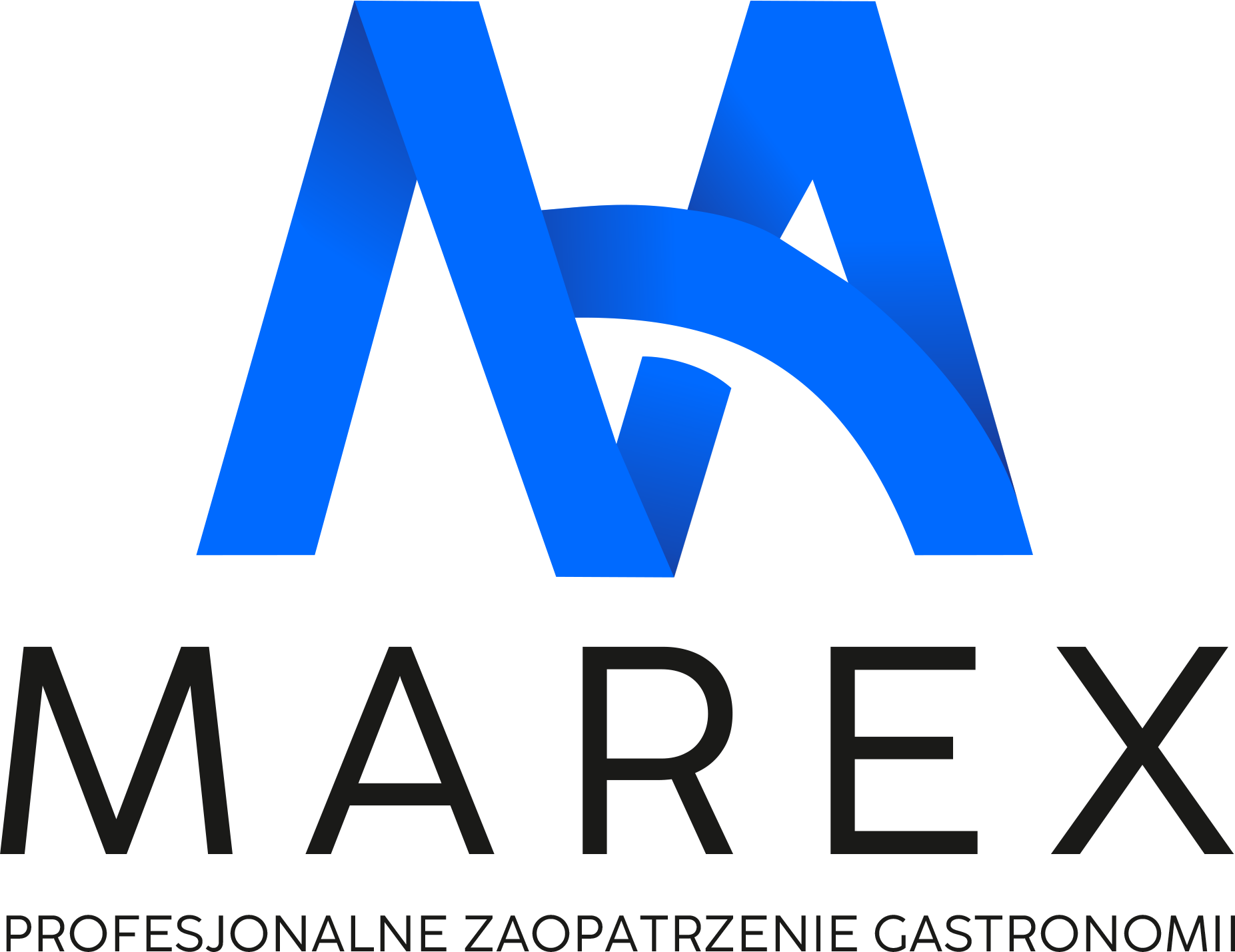 Strona główna