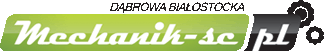 MECHANIK S.C. - Оптовая продаж запасных частей для сельскохозяйственных тракторов и комбайнов